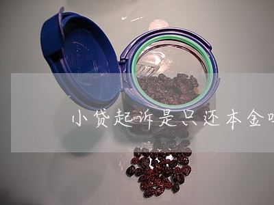 小贷起诉是只还本金吗 小贷起诉是只还本金吗