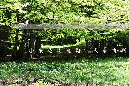 小贷还款逾期1天会有影响吗 小贷还款逾期1天会有影响吗