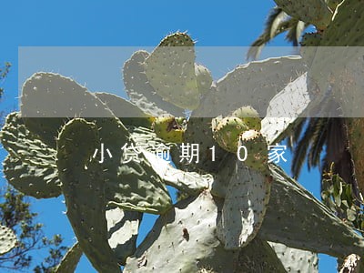 小贷逾期10家