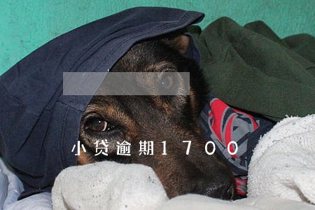 小贷逾期1700 小贷逾期1700