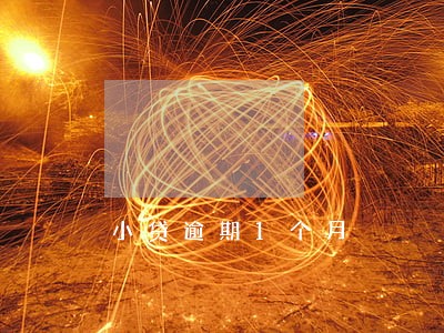 小贷逾期1个月 小贷逾期1个月