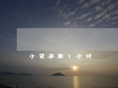 小贷逾期1小时