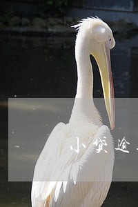 小贷逾期2天会影响吗 小贷逾期2天会影响吗
