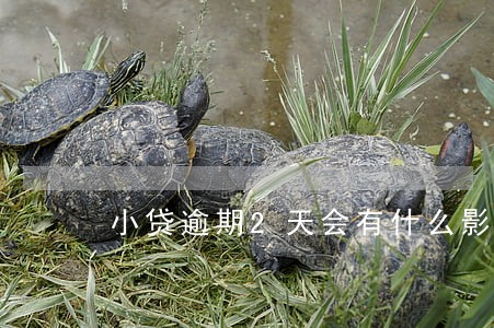 小贷逾期2天会有什么影响 小贷逾期2天会有什么影响