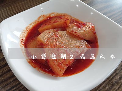 小贷逾期2天怎么办 小贷逾期2天怎么办