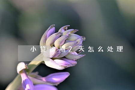 小贷逾期2天怎么处理 小贷逾期2天怎么处理