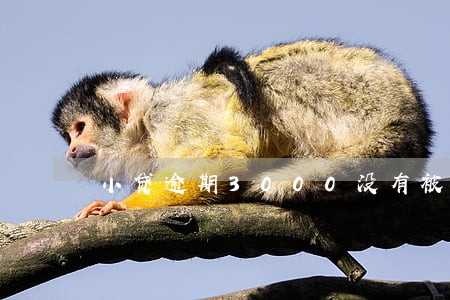 小贷逾期3000没有被催收 小贷逾期3000没有被催收