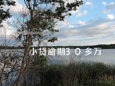 小贷逾期30多万