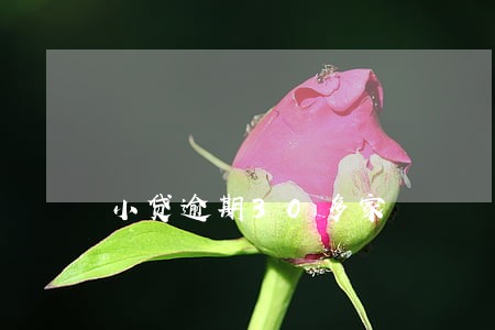 小贷逾期30多家 小贷逾期30多家