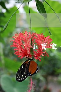 小贷逾期3个月能办信用卡 小贷逾期3个月能办信用卡