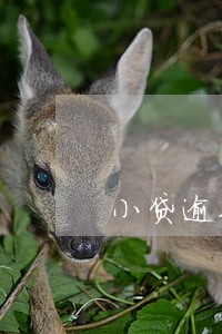 小贷逾期3天联系第三方是否合规 小贷逾期3天联系第三方是否合规