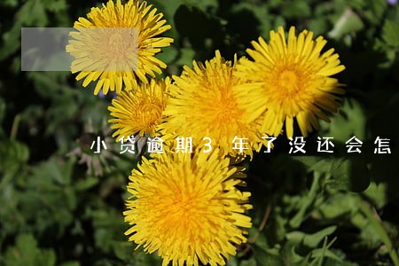 小贷逾期3年了没还会怎样 小贷逾期3年了没还会怎样