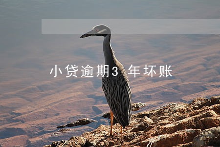 小贷逾期3年坏账