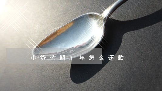 小贷逾期3年怎么还款 小贷逾期3年怎么还款