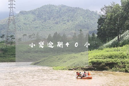小贷逾期40个 小贷逾期40个