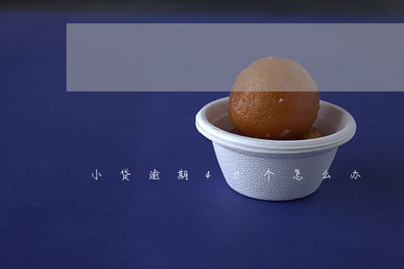小贷逾期40个怎么办 小贷逾期40个怎么办