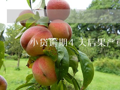 小贷逾期4天后果严重 小贷逾期4天后果严重