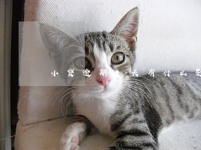 小贷逾期4天有什么影响