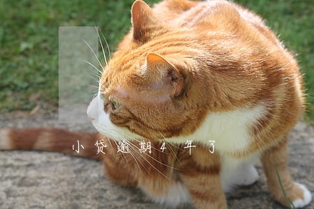 小贷逾期4年了 小贷逾期4年了