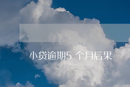 小贷逾期5个月后果