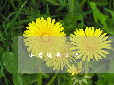 小贷逾期5天 小贷逾期5天
