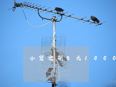 小贷逾期5天1000多利息
