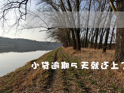 小贷逾期5天就还上了