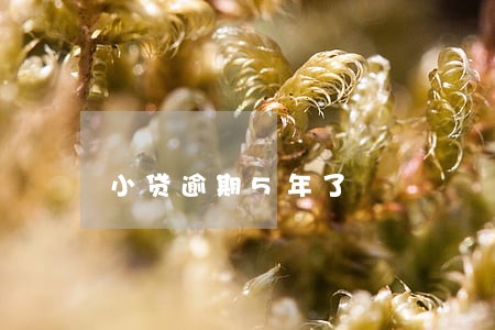 小贷逾期5年了 小贷逾期5年了