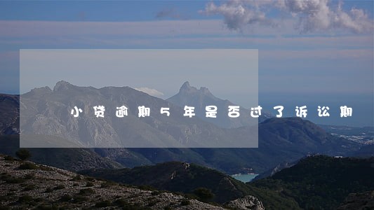 小贷逾期5年是否过了诉讼期