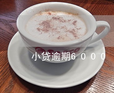 小贷逾期6000 小贷逾期6000