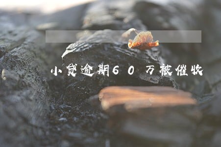 小贷逾期60万被催收 小贷逾期60万被催收