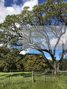小贷逾期7万二年上征信咋办 小贷逾期7万二年上征信咋办