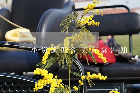 小贷逾期8天立案告知 小贷逾期8天立案告知