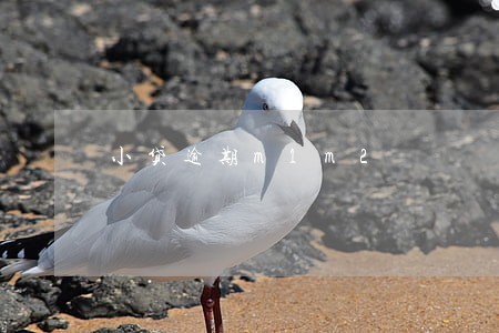 小贷逾期m1m2 小贷逾期m1m2