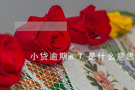 小贷逾期m7是什么意思 小贷逾期m7是什么意思