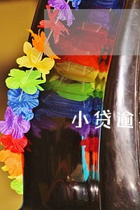 小贷逾期一天300 小贷逾期一天300