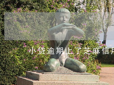 小贷逾期上了芝麻信用 小贷逾期上了芝麻信用