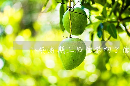 小贷逾期上征信影响了信用卡 小贷逾期上征信影响了信用卡