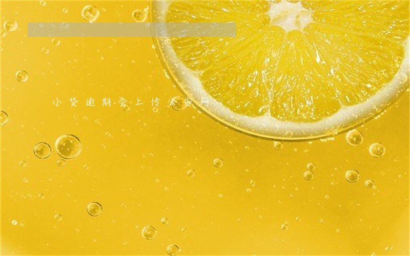 小贷逾期会上传公安网