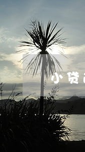 小贷逾期信用卡 小贷逾期信用卡