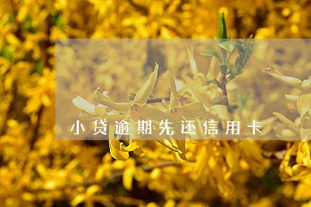 小贷逾期先还信用卡 小贷逾期先还信用卡