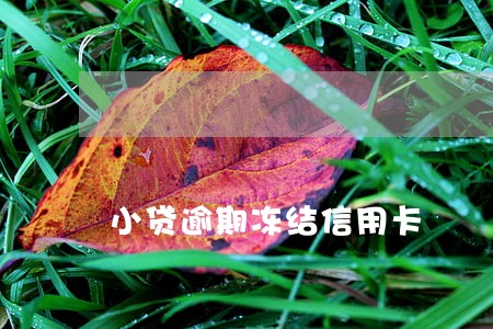 小贷逾期冻结信用卡 小贷逾期冻结信用卡