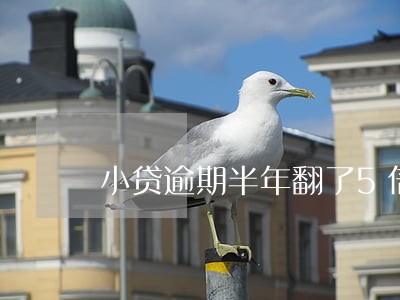小贷逾期半年翻了5倍 小贷逾期半年翻了5倍