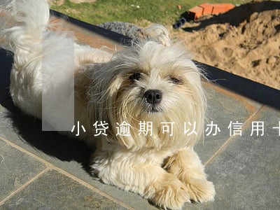 小贷逾期可以办信用卡吗 小贷逾期可以办信用卡吗