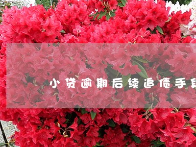 小贷逾期后续追债手段6 小贷逾期后续追债手段6