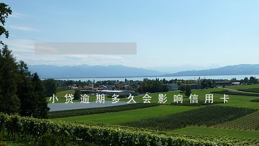 小贷逾期多久会影响信用卡 小贷逾期多久会影响信用卡
