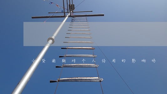 小贷逾期对个人信用的影响吗 小贷逾期对个人信用的影响吗
