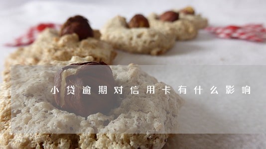 小贷逾期对信用卡有什么影响 小贷逾期对信用卡有什么影响