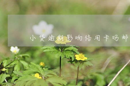小贷逾期影响信用卡吗邮政 小贷逾期影响信用卡吗邮政