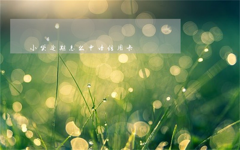 小贷逾期怎么申请信用卡 小贷逾期怎么申请信用卡
